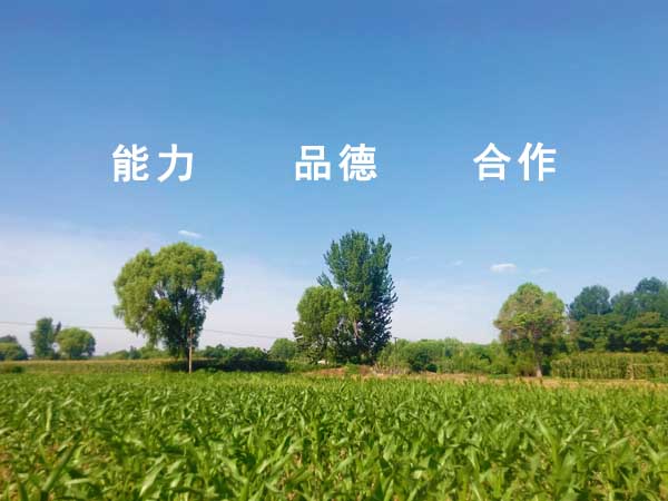 企業(yè)規(guī)模